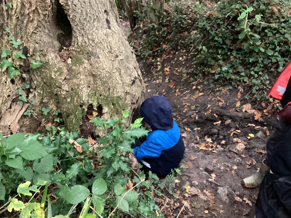 Maple2Class_RE's tweet image. 