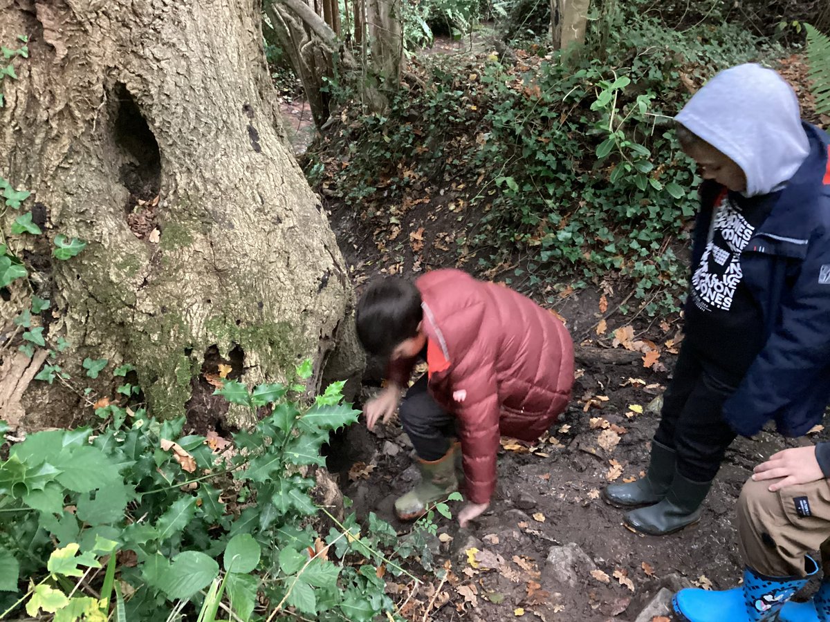 Maple2Class_RE's tweet image. 