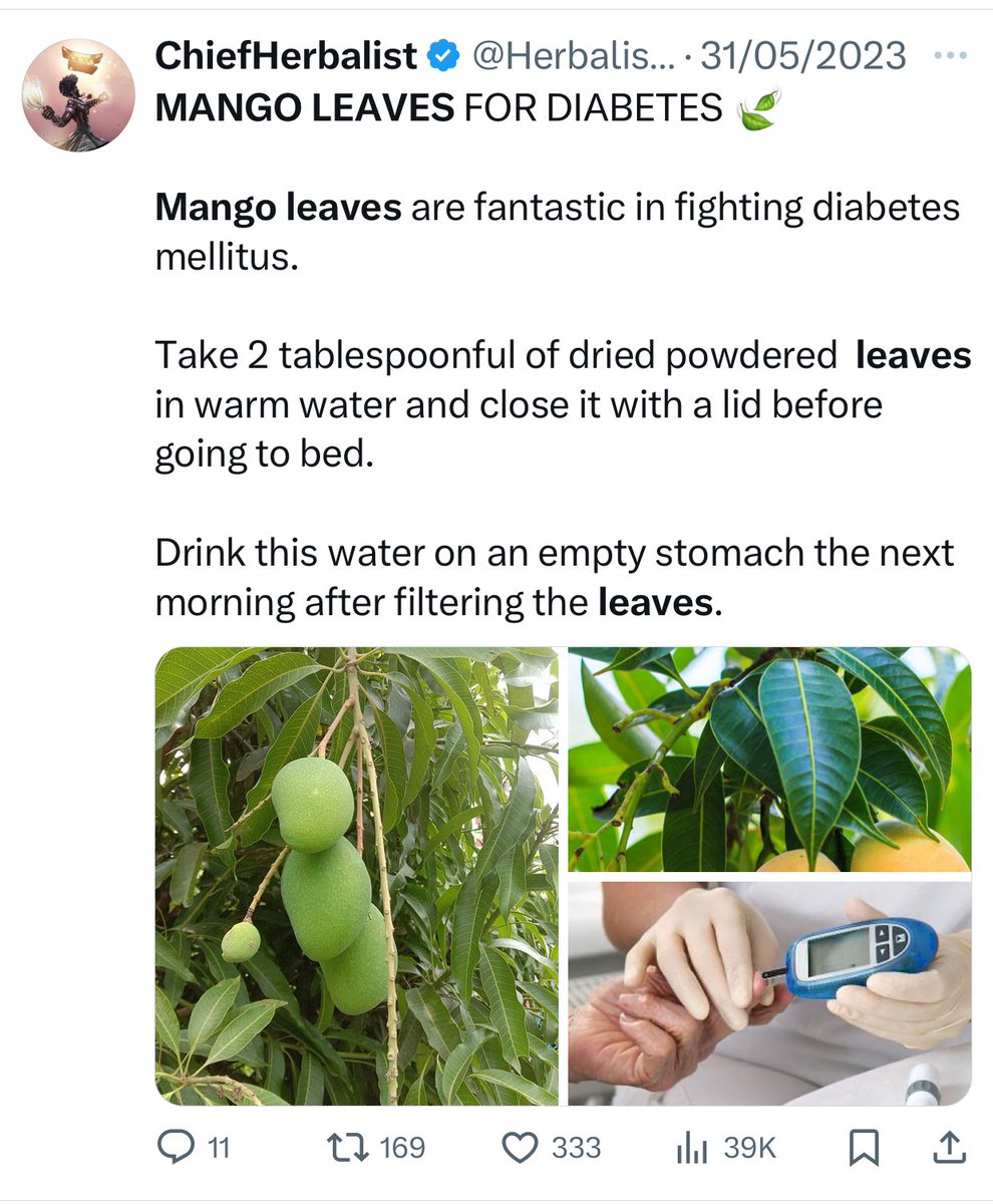 HerbalistChief's tweet photo. Sugar level was at 11, she took mango leaves and it has dropped significantly to 6. 

Nature heals. https://t.co/jO6nHTM94C