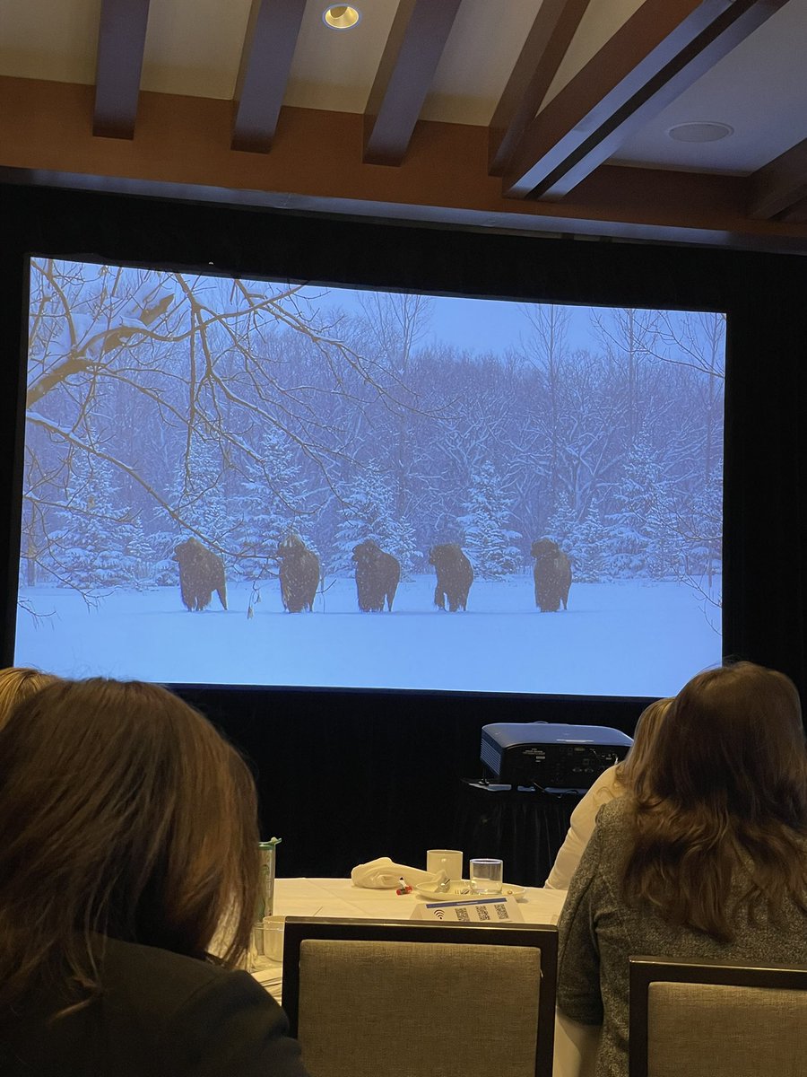 Erin Wieruszewski tweet media