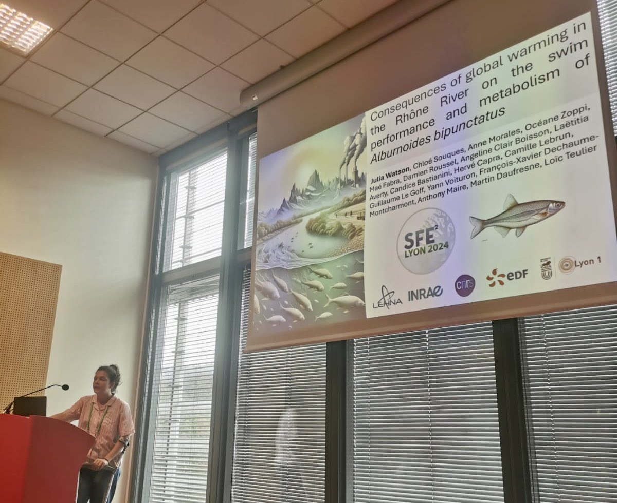 Thanks to the SFE2 for letting me present my PhD work on the effects of global warming on the physiology of the spirlin!
And a big thank you to the organisers for a great conference <a href="/SFE2_2024/">SFE2_2024</a> ☀️🐠
