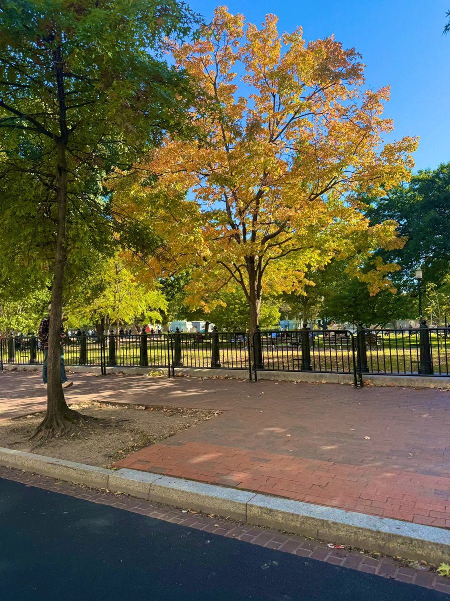 AnHeartist's tweet photo. October Dump 🍂🍁#fallColors #fallcompetition https://t.co/6kDg1VSxaC
