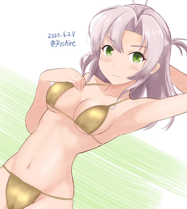クッソ古いのしかねぇ・・・・('・ω・`)#衣笠進水日 