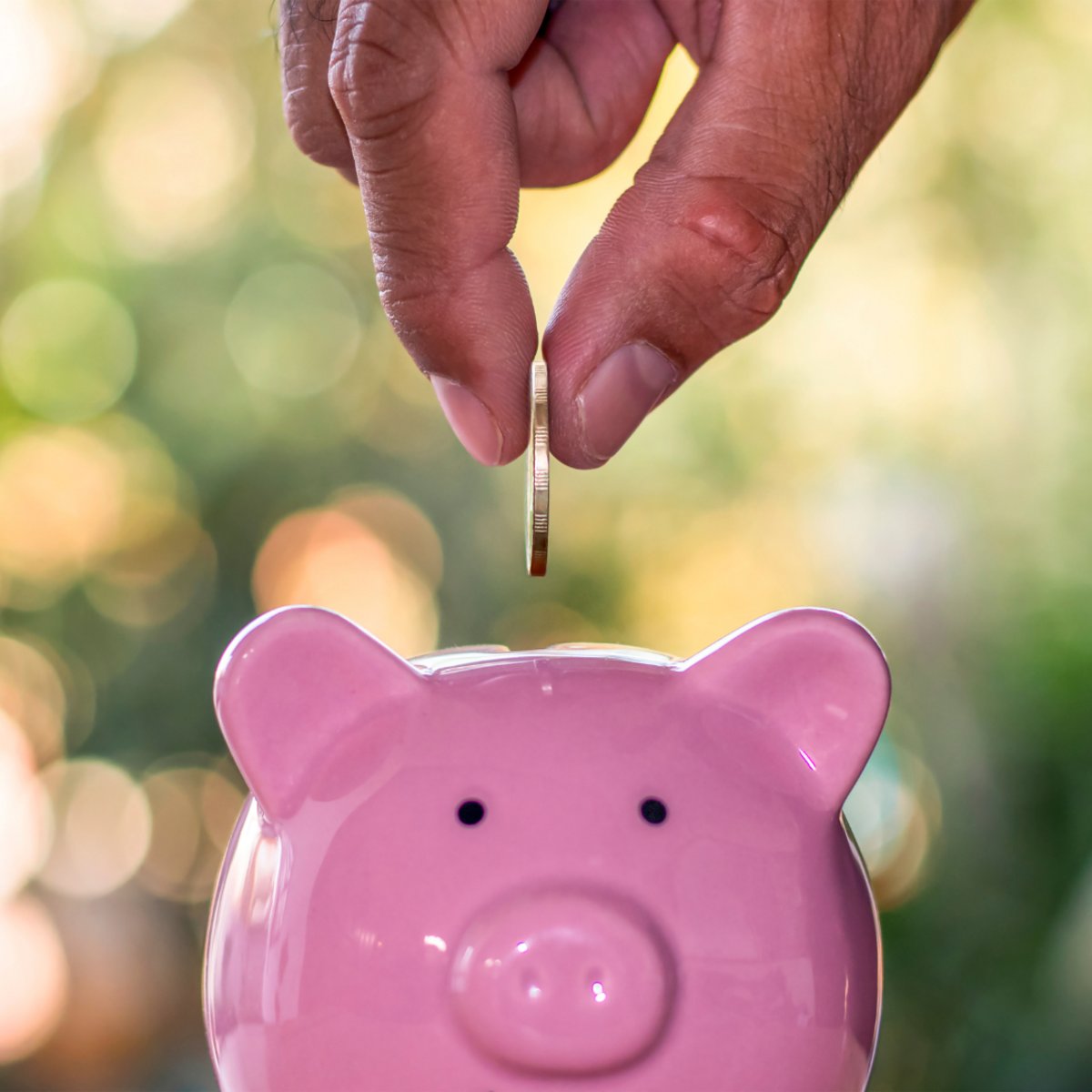 RegencyStAug's tweet image. Traveling doesn't have to be costly. Check out this article on innovative ways to #save money on plane tickets ✈, then book a #flight to Florida! cnb.cx/3BJ9CdU