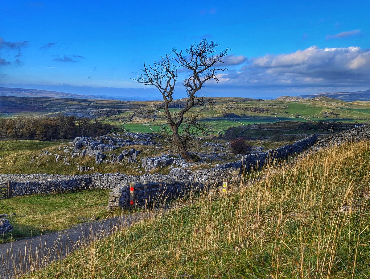 Today's #Abrewwithaview from @Settle North Yorkshire then deer look a bit odd though.