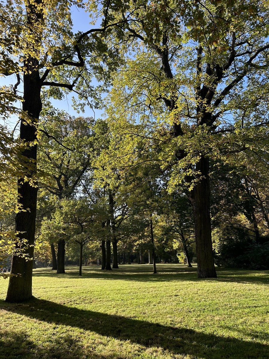 Silvia Steininger tweet media