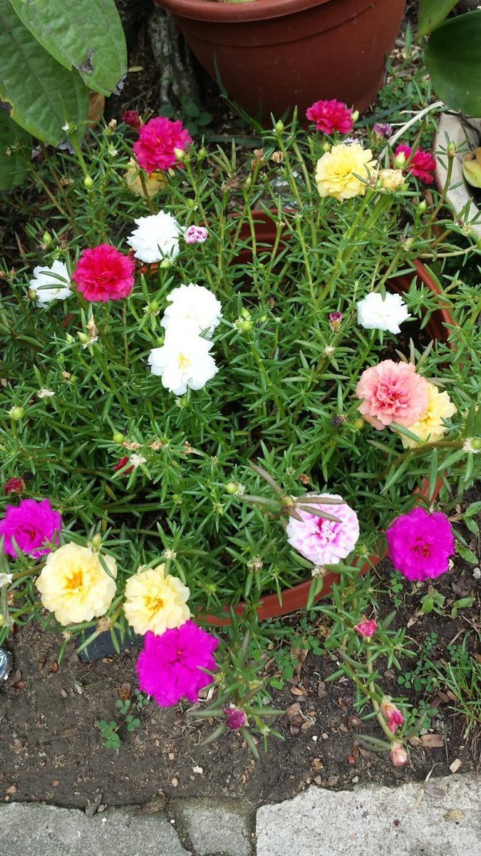 Sandy_B61's tweet photo. When you focus on the good, the good gets better.

Blessed Evening ✨🥰🫶❤️ https://t.co/6GcATqnRk1