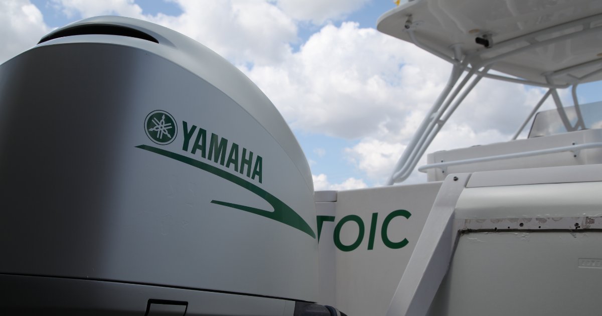 vinylwraptdot's tweet image. Check out our project! We applied custom green decals on a sleek white boat, creating a standout look. ⁠

Ready to transform your ride? 

l8r.it/OWGU

#CustomDecals #BoatTransformation #BrandingCentres
#vinylwrap #toronto #trending #vinyl #decals #lettering