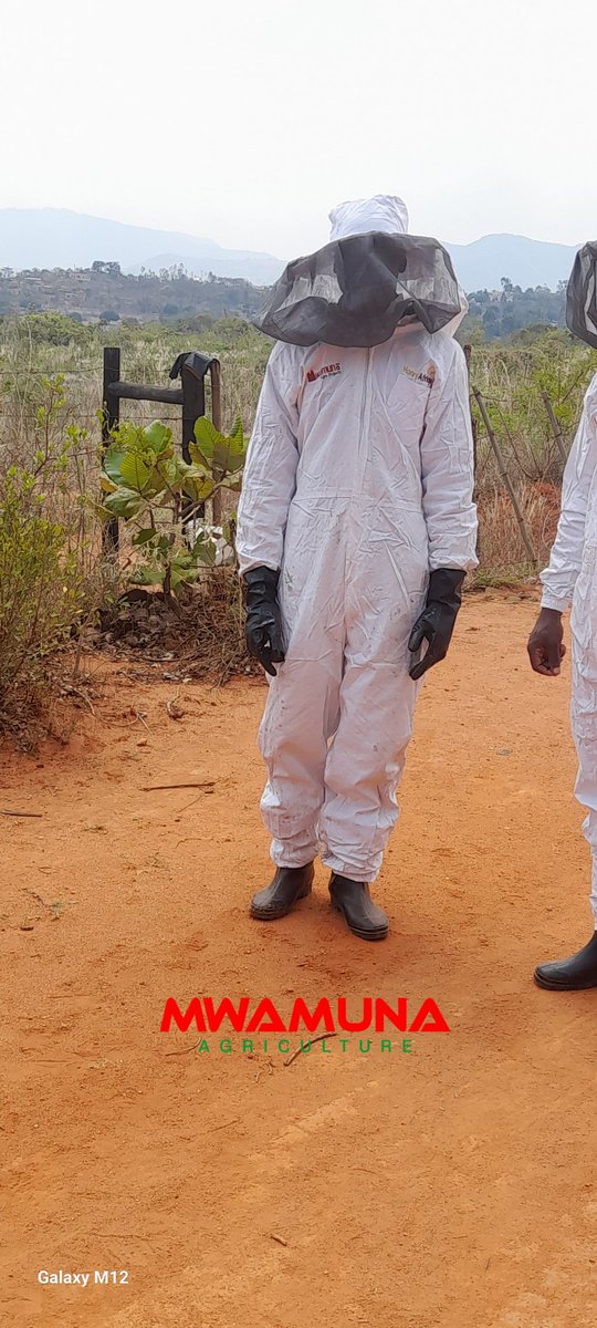 Last honey harvesting before the onset of the rains. #theliquidgold.