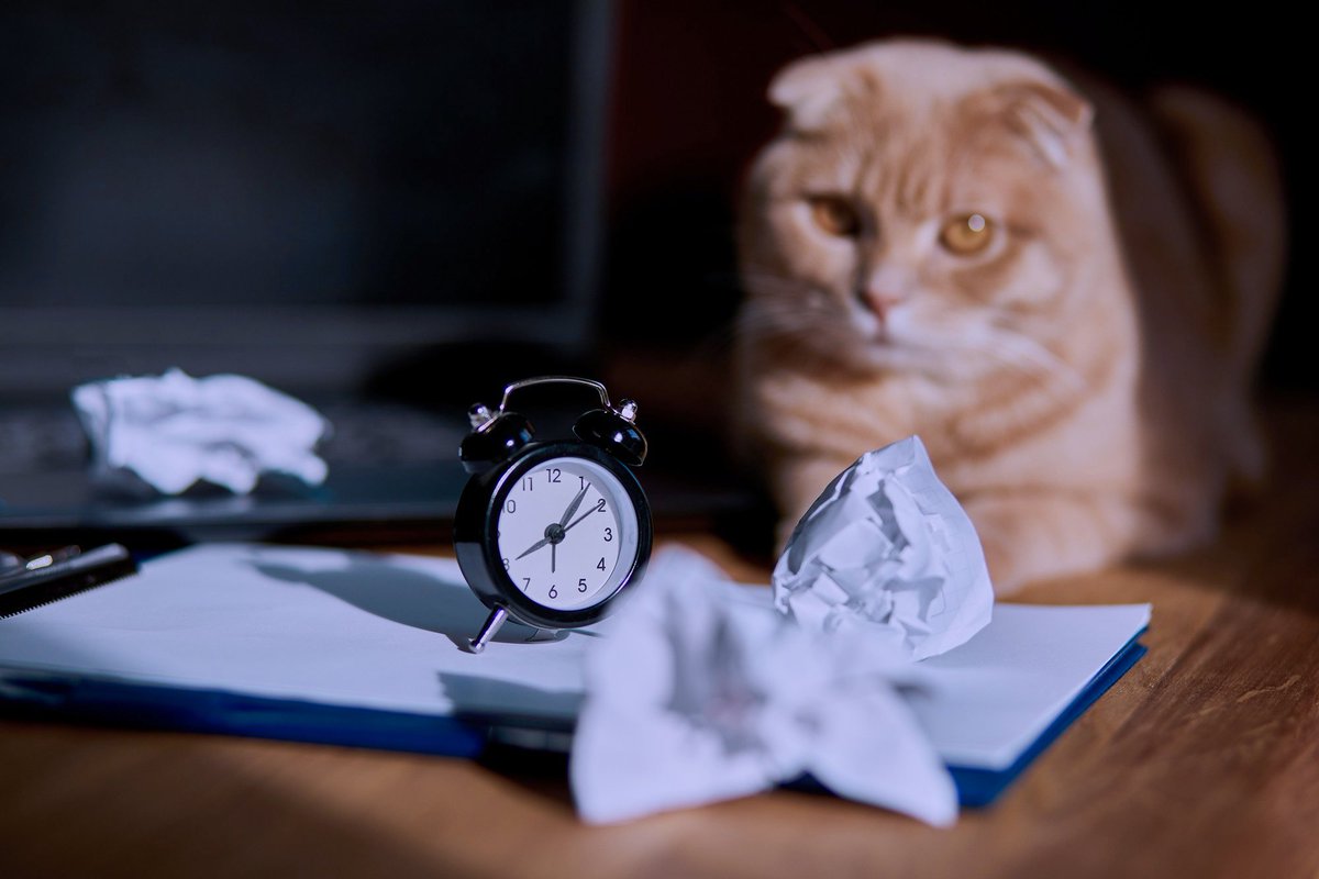 WebWork_Tracker's tweet image. ⏳ While time tracking apps are very powerful, harnessing their full power requires the right approach
In this guide, we explore 6 common time tracking mistakes—along with how you can avoid them in your business! ⤵️
webwork-tracker.com/blog/6-common-…