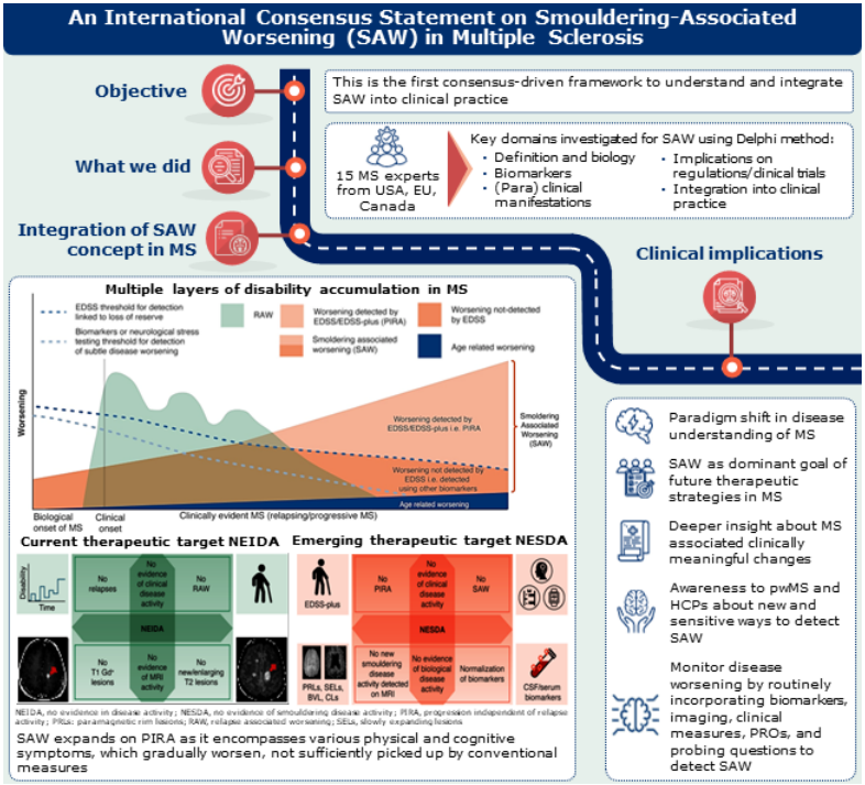 ANA Journals (@ana_journals) on Twitter photo Clinical manifestations of #SmoulderingMS are often poorly acknowledged. We challenge the
current dogmatic view of #MS, proposing the concept of smouldering associated worsening (#SAW)
<a href="/AnToSc/">Dr Antonio Scalfari</a> @GavinGiovannoni <a href="/BagnatoLab/">Francesca Bagnato and the NeuroImaging Unit</a> <a href="/LauraAiras1/">Laura Airas</a> Clinical manifestations of #SmoulderingMS are often poorly acknowledged. We challenge the
current dogmatic view of #MS, proposing the concept of smouldering associated worsening (#SAW)
<a href="/AnToSc/">Dr Antonio Scalfari</a> @GavinGiovannoni <a href="/BagnatoLab/">Francesca Bagnato and the NeuroImaging Unit</a> <a href="/LauraAiras1/">Laura Airas</a>