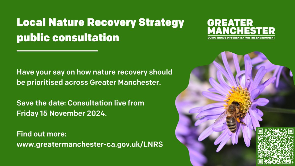 GM Green City tweet media