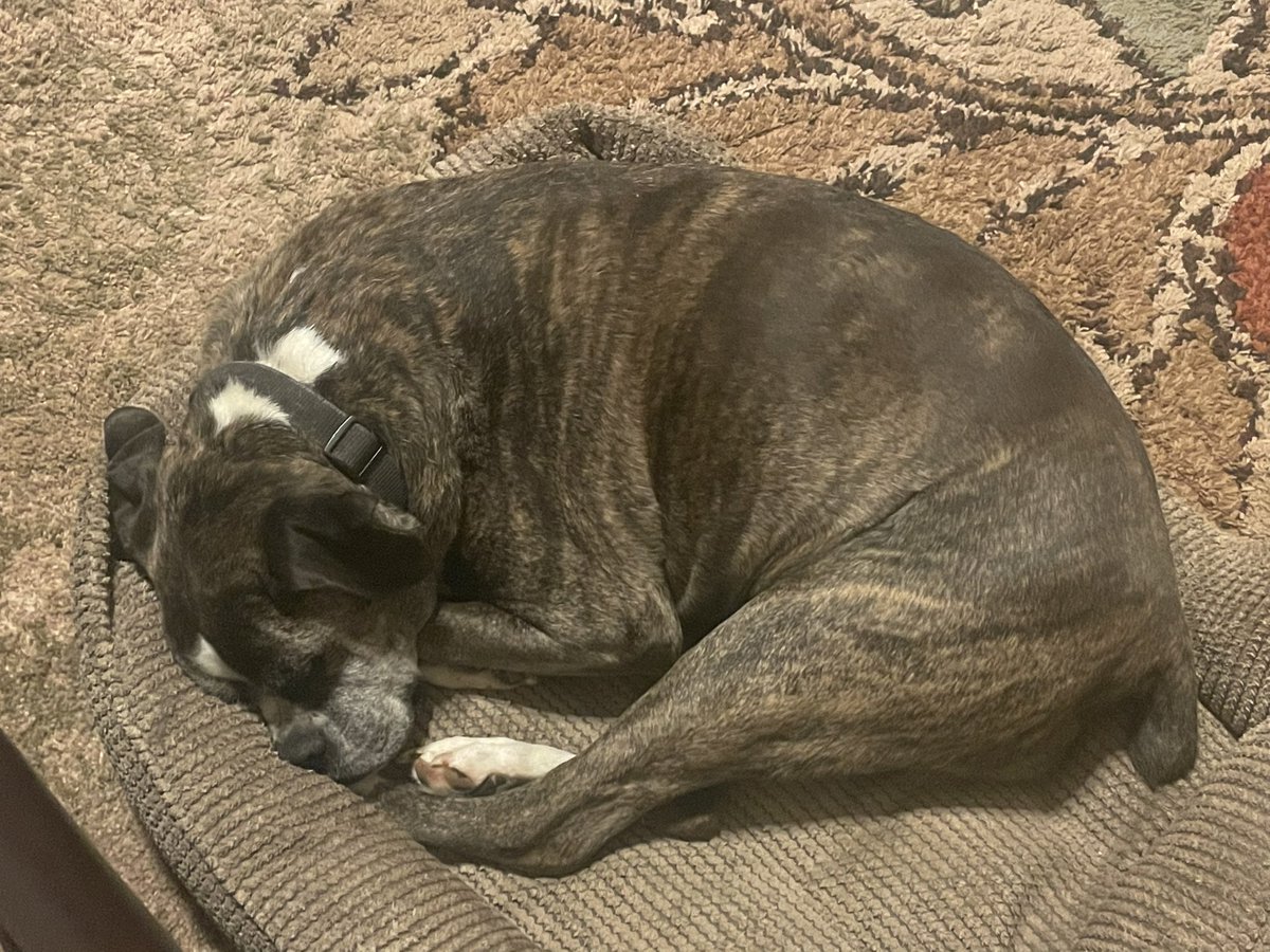 BiackEye tweet media