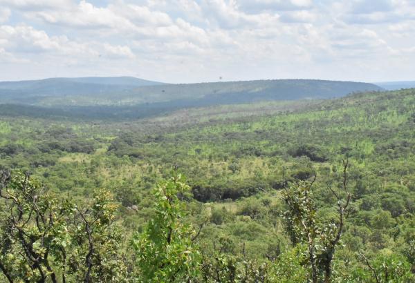 Gérard Niyonzima (@grardniyonzima1) on Twitter photo Il est bon mon pays #Burundi. Voici la richesse du Parc national de la Ruvubu. Venez nombreux visiter notre pays, vous trouverez la faune et la flore que vous ne trouverez nulle part dans le monde. <a href="/GeneralNeva/">SE Evariste Ndayishimiye</a>, <a href="/BMineagrie/">BURUNDI/MINEAGRIE</a>, #Environnement Il est bon mon pays #Burundi. Voici la richesse du Parc national de la Ruvubu. Venez nombreux visiter notre pays, vous trouverez la faune et la flore que vous ne trouverez nulle part dans le monde. <a href="/GeneralNeva/">SE Evariste Ndayishimiye</a>, <a href="/BMineagrie/">BURUNDI/MINEAGRIE</a>, #Environnement