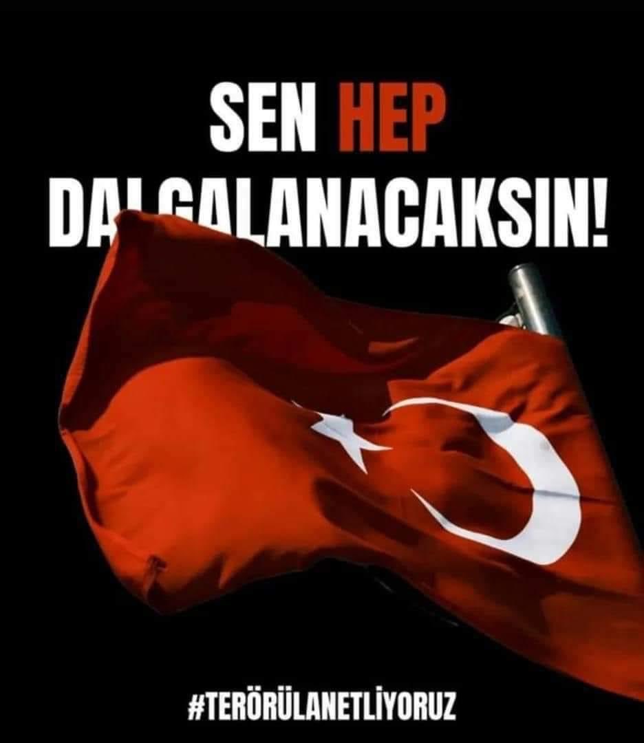 Aydın Yücekök (@yucekokn) on Twitter photo 