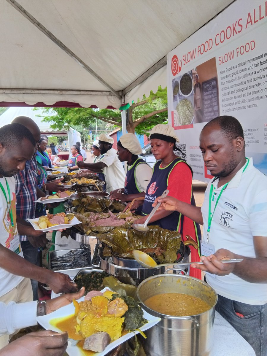 slowfooduganda's tweet image. Participants at the Agroecological   Market Systems Expo enjoying a delicious organic lunch, sourced directly from Slow Food Communities and prepared with love by the talented Slow Food Uganda Cooks Alliance A perfect blend of taste and sustainability   #AgroecologyWeek24.