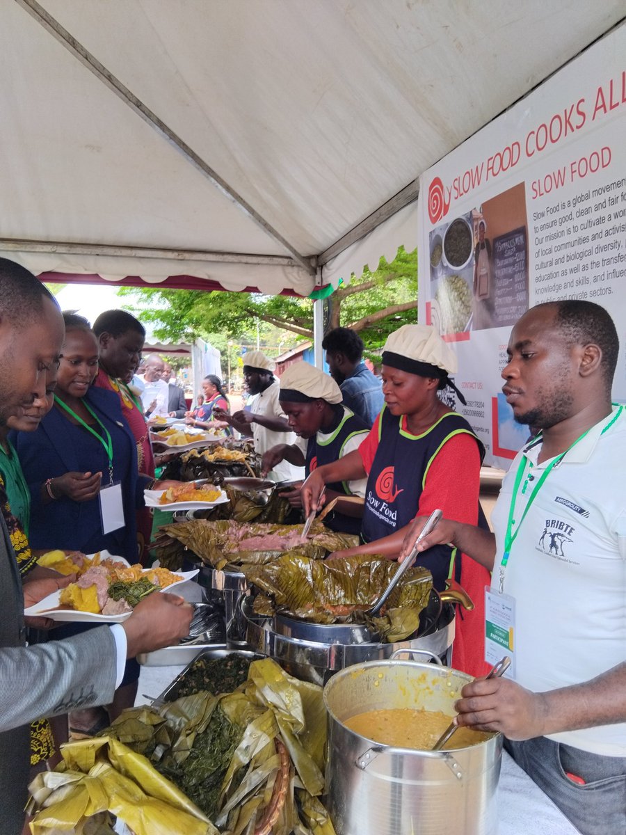 slowfooduganda's tweet image. Participants at the Agroecological   Market Systems Expo enjoying a delicious organic lunch, sourced directly from Slow Food Communities and prepared with love by the talented Slow Food Uganda Cooks Alliance A perfect blend of taste and sustainability   #AgroecologyWeek24.