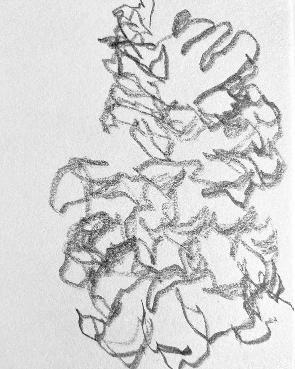 Lessonface tweet media