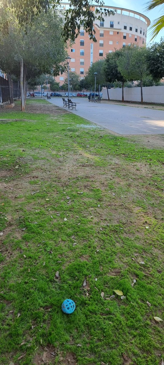 rosaledacanina's tweet photo. @Ayto_Sevilla @jlsanzalcalde  Por qué siendo un parque tan grande y con tanto espacio, solo pueden disfrutarlo algunas personas? Por qué los vecinos con perros no podemos disfrutarlo si pagamos los mismos impuestos? TODOS TENEMOS EL MISMO DERECHO. QUEREMOS NUESTRO PARQUE YA https://t.co/F1JKXXO7kd