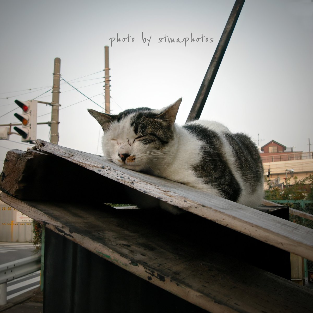 stmaphotos@横須賀市民になりました! tweet media