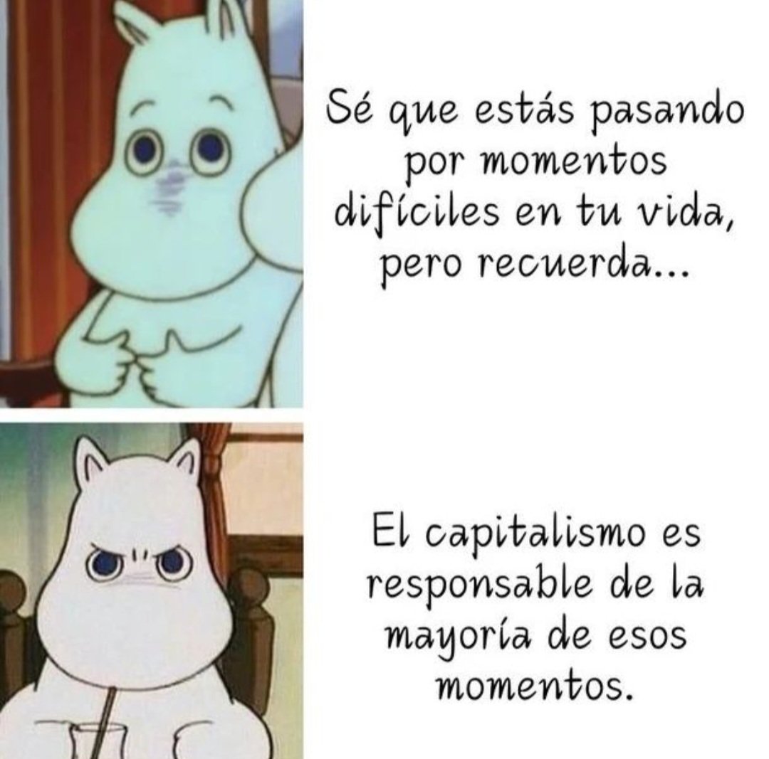 Infusión Ideológica 🫖🍵 (@infusionlogica) on Twitter photo 