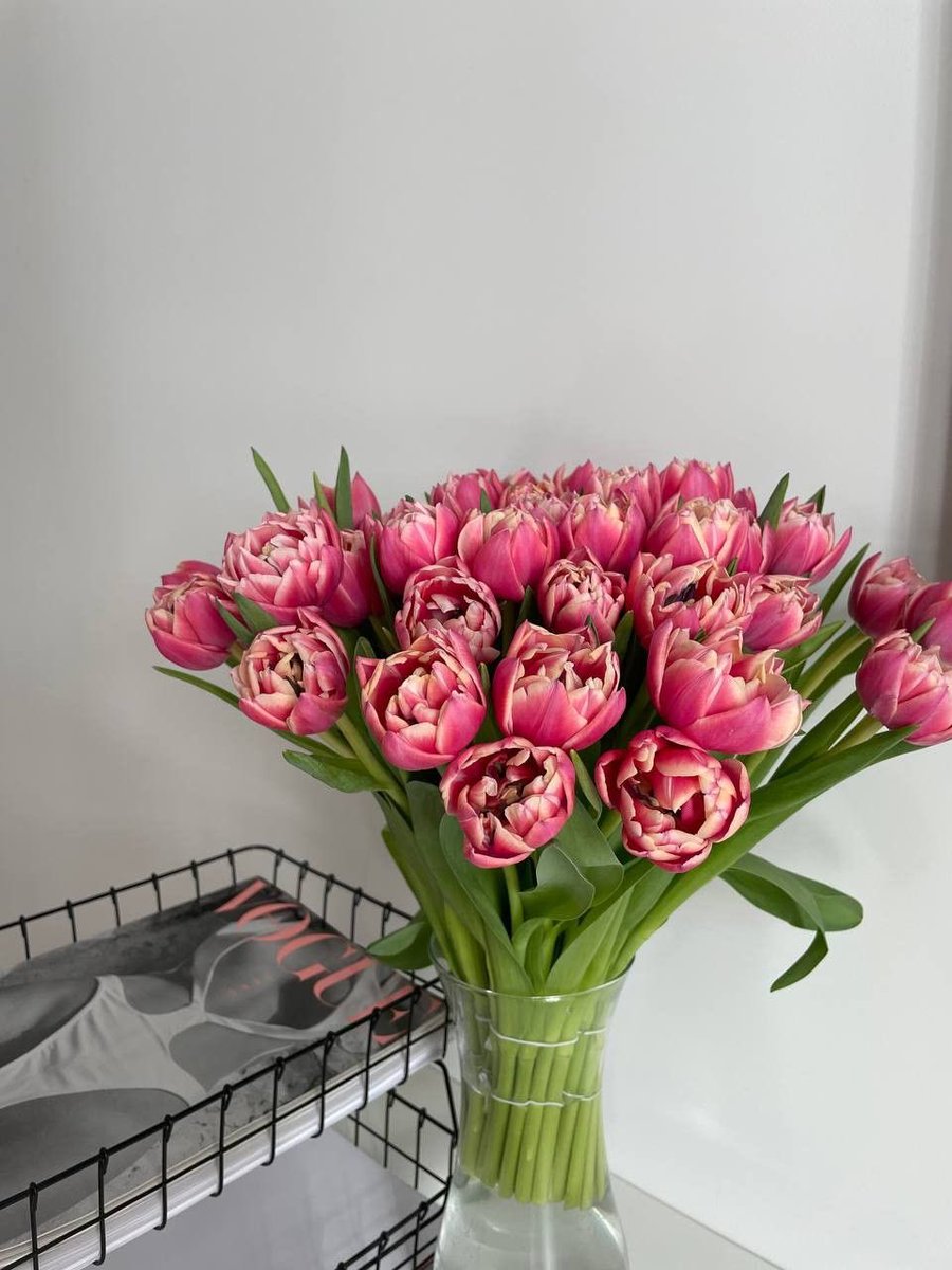 i3Moment's tweet photo. Open Tulips 🌷 https://t.co/utXxYJZkLX