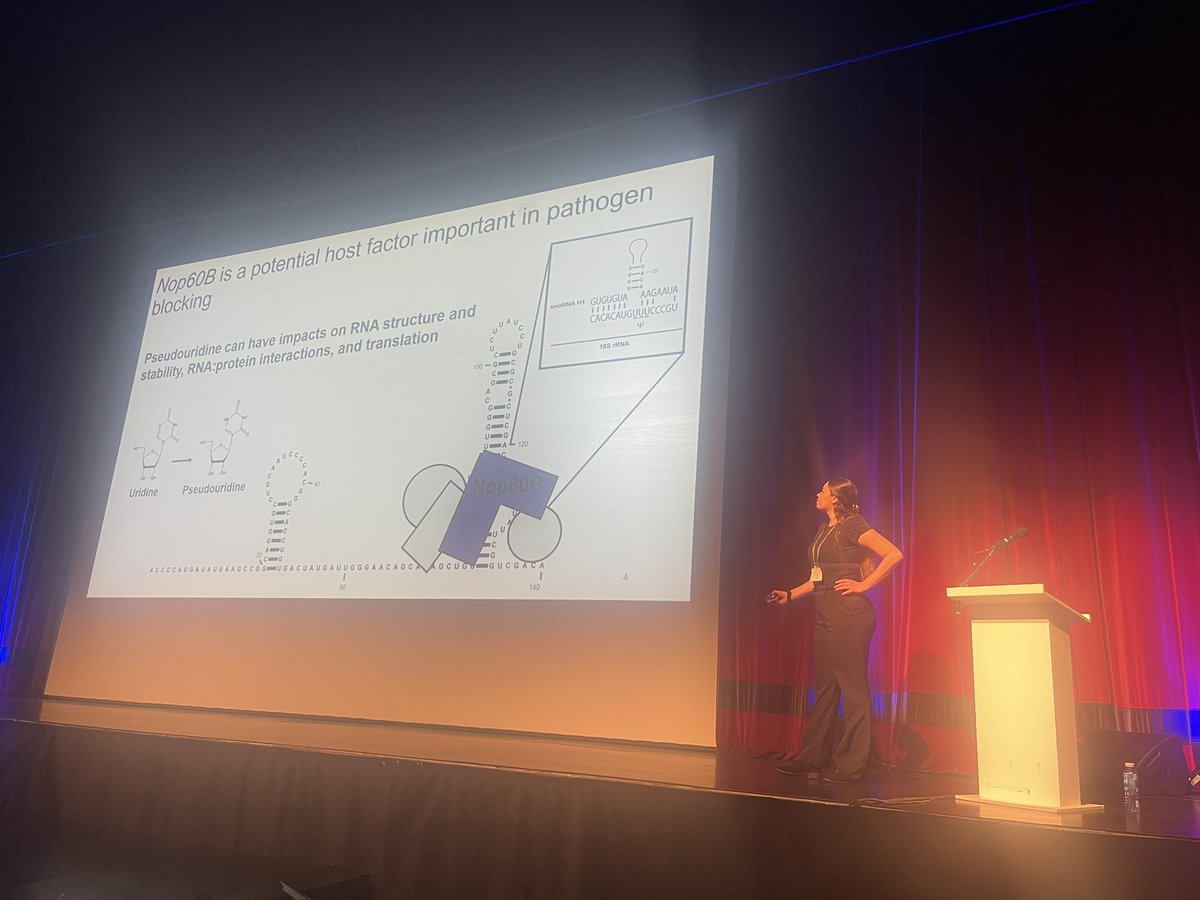 The lab made the very fun trip to #KSRNAVirus25. Special thanks to the organizers for the opportunity to share our science in both poster &amp; talk format. #womeninscience