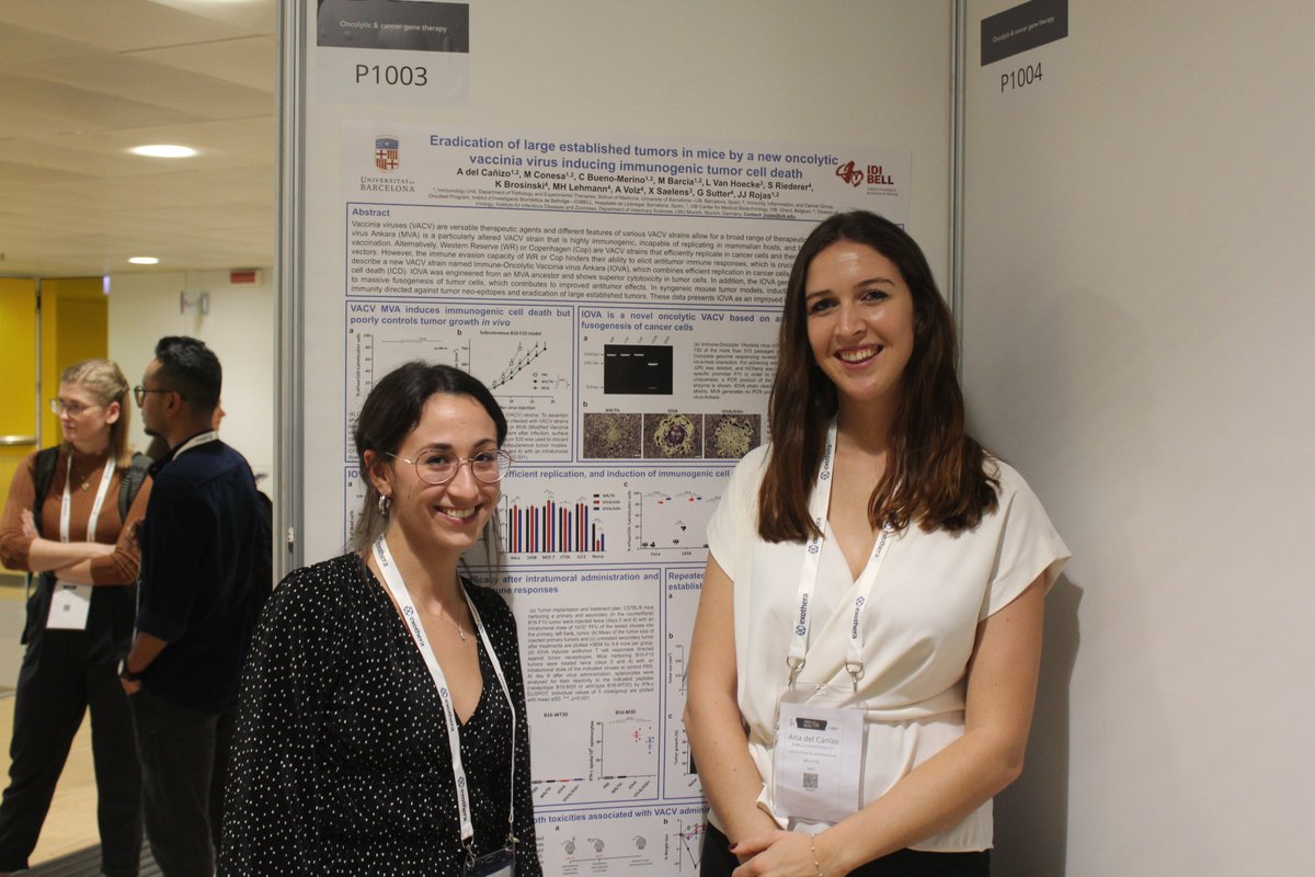 SETGyC (@setgyc) on Twitter photo 📈 We had plenty of poster presentations at #ESGCT24 from SETGYC members! Let's take a look at some of them!
➡️ <a href="/anadelcanizo/">Ana del Cañizo</a> and Carme Rojas from <a href="/JJRojasLab/">Juan J Rojas Lab</a> shared their exciting research on oncolytic vaccinia virus. 📈 We had plenty of poster presentations at #ESGCT24 from SETGYC members! Let's take a look at some of them!
➡️ <a href="/anadelcanizo/">Ana del Cañizo</a> and Carme Rojas from <a href="/JJRojasLab/">Juan J Rojas Lab</a> shared their exciting research on oncolytic vaccinia virus.