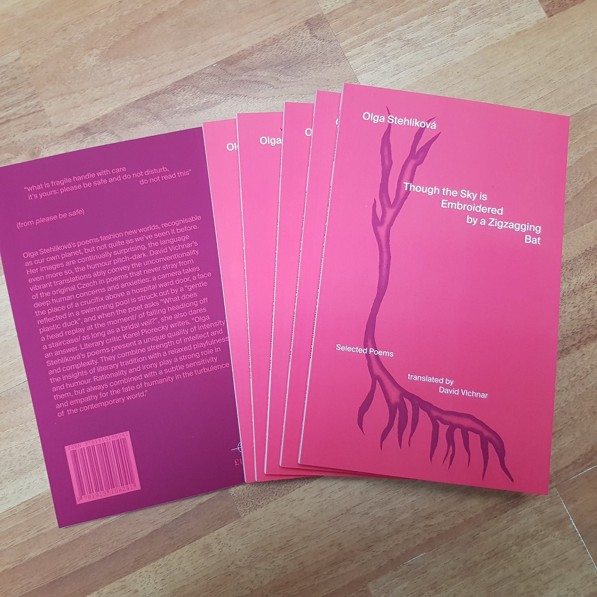 Newly published today, Czech poet Olga Stehlikova's 'Though the Sky is Embroidered by a Zigzagging Bat' (Blue Diode Press), selected poems in English translation by David Vichnar. Info, sample poems and shop at this link:  bluediode.co.uk/product-page/t…