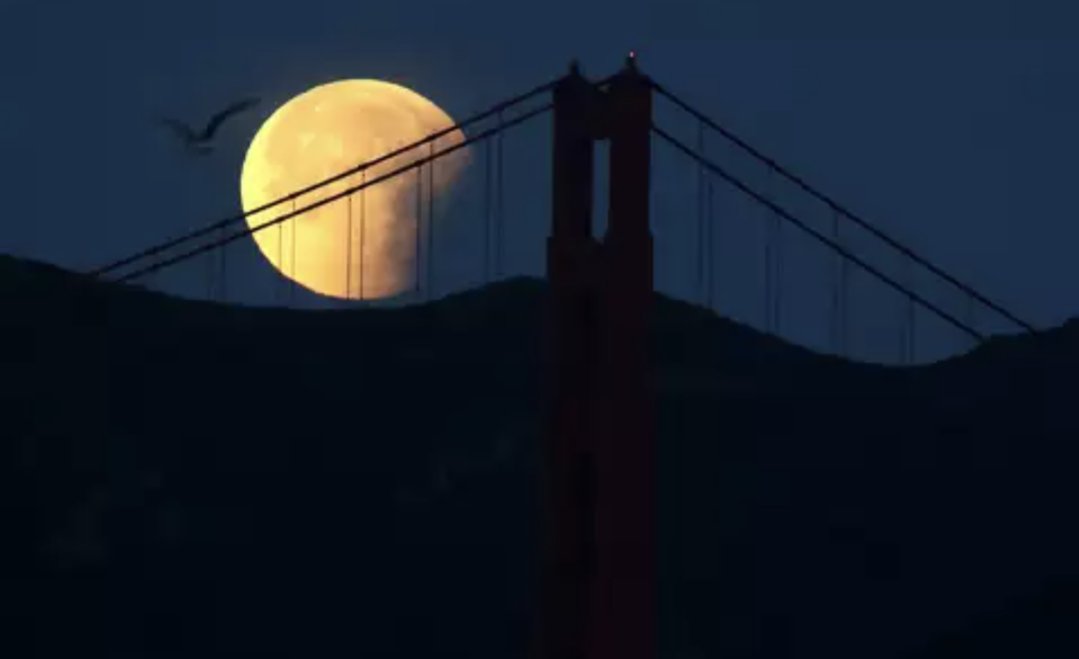 Supermoon this past weekend means we are at the height of our power. Just in time for #USAUNationals 

Looking at <a href="/doublewidetx/">Doublewide</a> then Shrimp, then <a href="/TruckStopUlti/">Truck Stop Ultimate</a> on the day for a shot at the ship