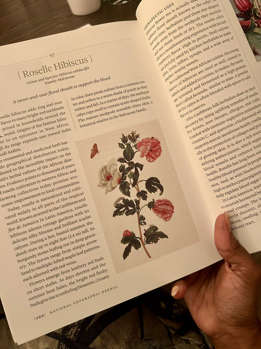 Shout out to wellness advocate @qubilahsays for another successful wellness workshop. 

We talked about herbs, blended herbs, made tea, drank tea and enjoyed one another’s company. 

See you at the next installment of the wellness series, making herbal cough drops.