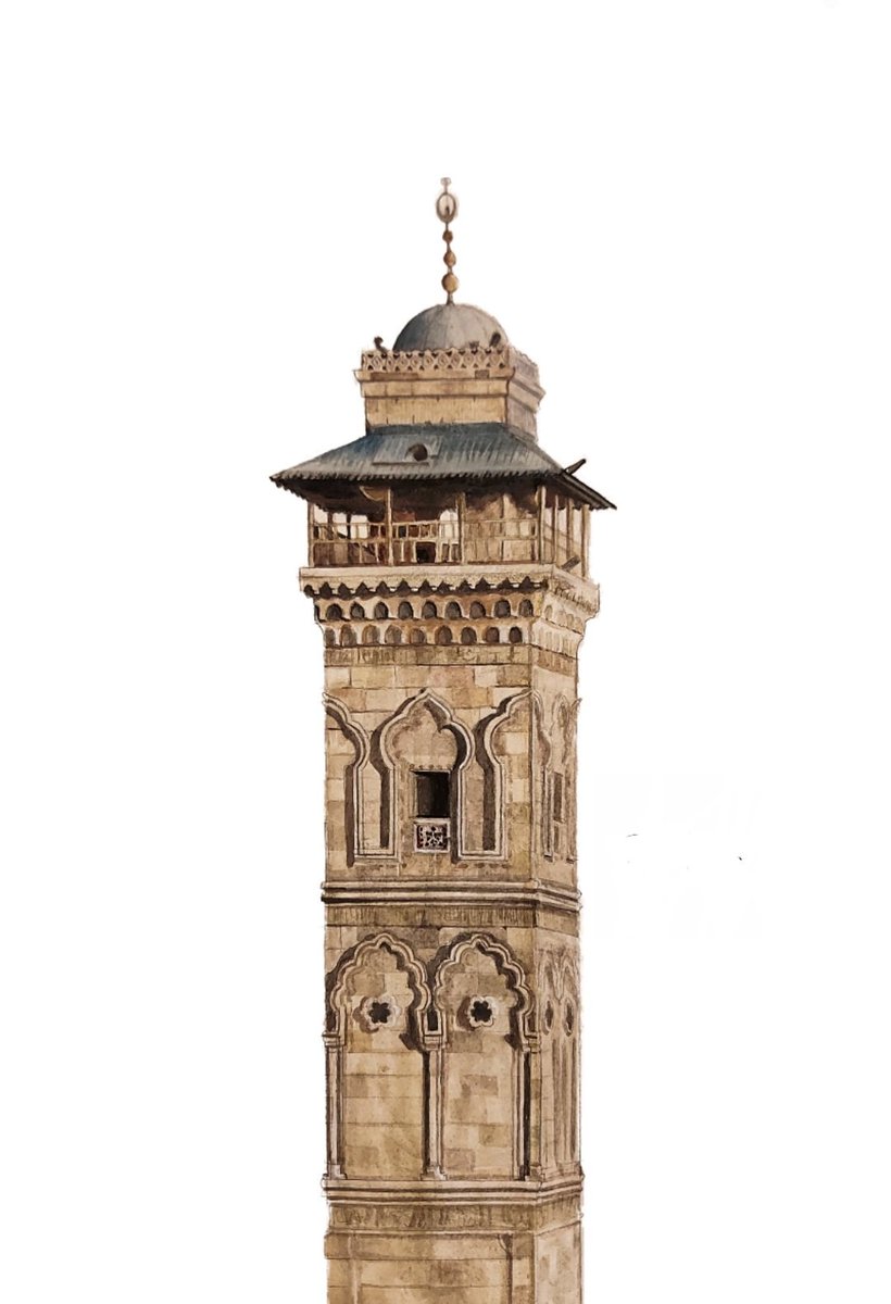 Salwa Najm tweet media