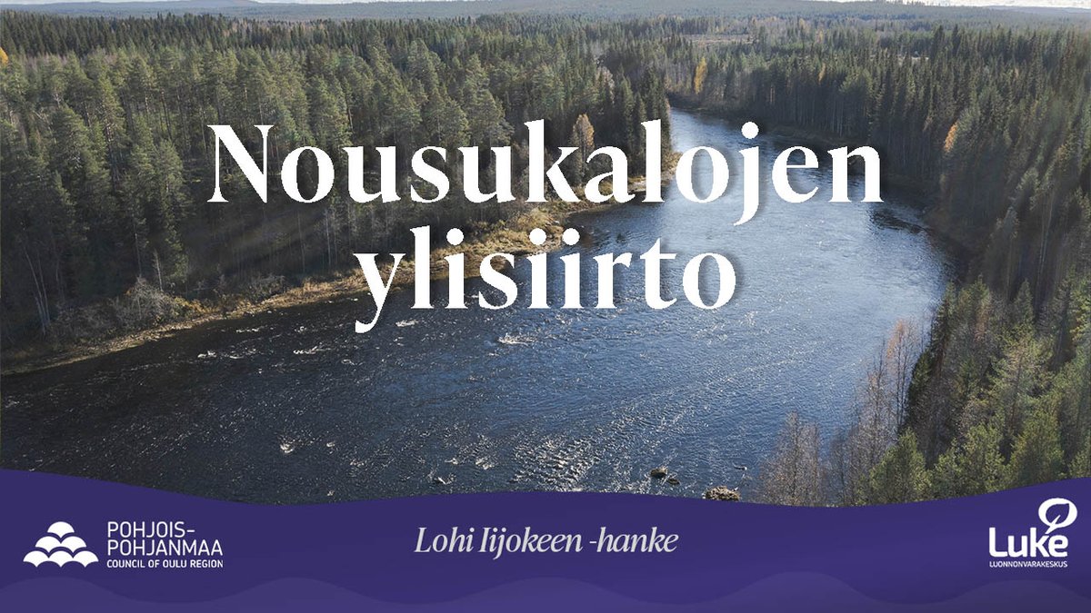 Tehtiin Lohi Iijokeen -hankkeessa lyhyt video nousukalojen ylisiirroista. 

youtu.be/m_qko-S7EqM

<a href="/ppliitto/">Pohjois-Pohjanmaan liitto</a> <a href="/LukeFinland/">Luonnonvarakeskus</a> <a href="/PVOVesivoima/">PVO-Vesivoima</a> <a href="/Lapin_ELY/">Lapin ELY-keskus</a> <a href="/POPELYkeskus/">PohjoisPohjanmaanELY</a> <a href="/mmm_fi/">MMM</a> <a href="/IinKunta/">Iin kunta - Municipality of Ii</a> <a href="/oulunkaupunki/">Oulun kaupunki, Oulu</a> <a href="/pudasjarvi/">Pudasjärven kaupunki</a> <a href="/KuusamoRuka/">Kuusamon kaupunki</a> <a href="/Metsahallitus/">Metsähallitus</a> <a href="/voimalohi/">Voimalohi</a> #iijoki #vaelluskalat