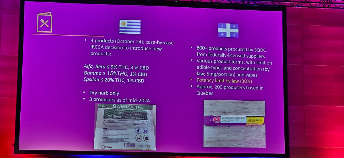 Suzanne Nielsen PhD MPS (@drsuzinielsen) on Twitter photo .<a href="/MyfGraham/">Myfanwy graham</a> discusses adverse events with medical cannabis in Australia. Notably, the strength of products in Australia are substantially higher than maximum doses described by the previous speaker in Canada or Uruguay for recreational use #LxAddictions24 <a href="/MonashAddiction/">Monash Addiction Research Centre</a> .<a href="/MyfGraham/">Myfanwy graham</a> discusses adverse events with medical cannabis in Australia. Notably, the strength of products in Australia are substantially higher than maximum doses described by the previous speaker in Canada or Uruguay for recreational use #LxAddictions24 <a href="/MonashAddiction/">Monash Addiction Research Centre</a>