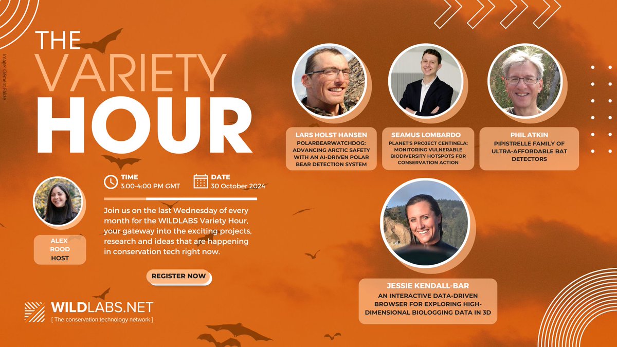 Join us on 30 October at 3pm GMT / 11am EST for Variety Hour!  Hear about real-time polar bear monitoring, high-frequency satellite imagery, ultra-affordable bat detectors, and high-dimensional biologging data.

Register here: wildlabs.net/event/variety-…
