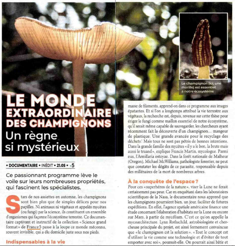 francetvpro's tweet photo. #LesMediasEnParlent

Science Grand Format - Mathieu Vidard
Le monde extraordinaire des champignons 

@Tele7jours @TeleLoisirs @Telerama @OuestFrance @TVMAG  

#ScienceF5

▶️Jeu 24/10 à 21.05 | #France5 &amp; https://t.co/JqV7mXAoWY https://t.co/g6sFvN9Sb7