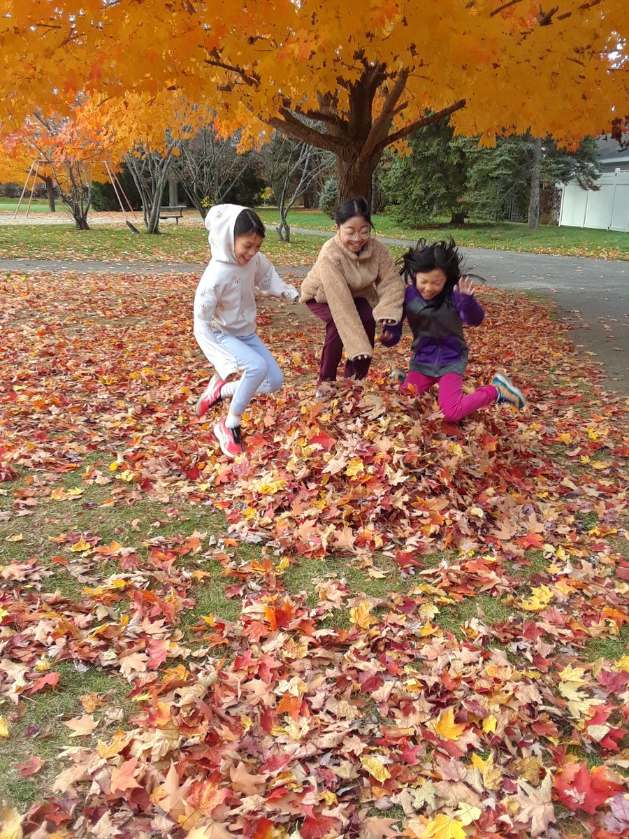 Joanne Nisbet tweet media