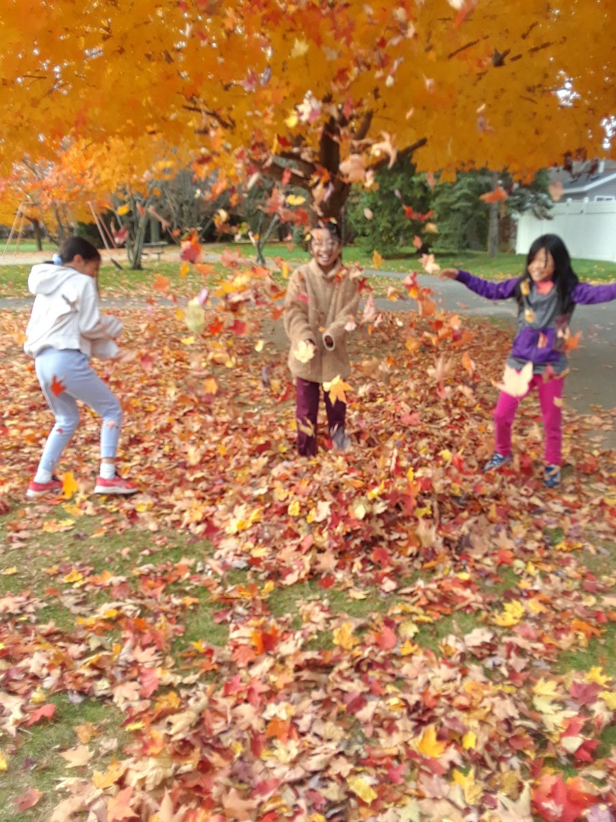 Joanne Nisbet tweet media