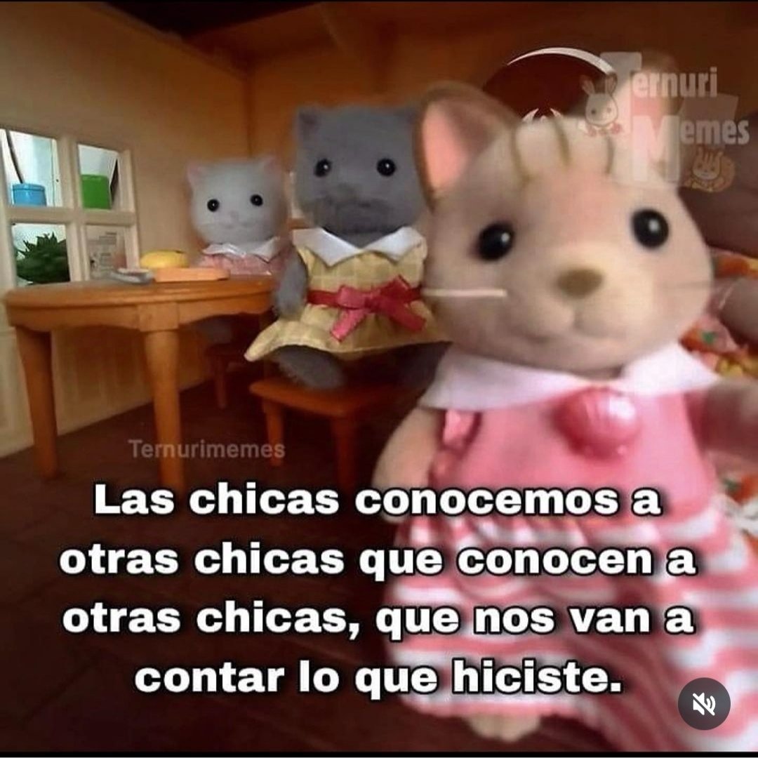 perifericah's tweet image. 