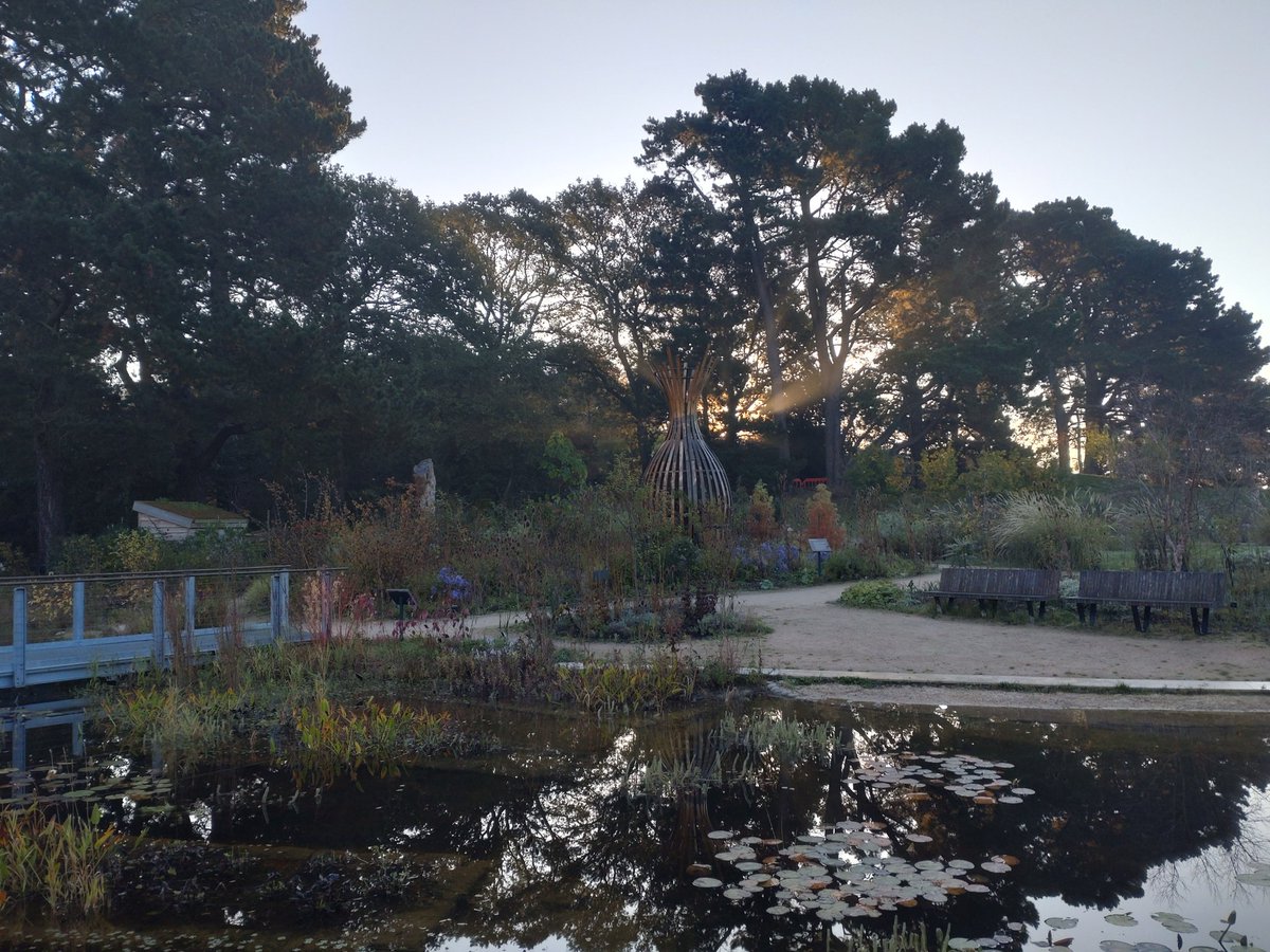 AndrewSalisbur2's tweet image. Are you an Ecologist interested in the biodiversity of gardens? @The_RHS @RHSWisley we're seeking an Ecologist (maternity cover) to help us show how valuable gardens? (Cool job, cool location!) rhsocli.webitrent.com/rhsocli_webrec…