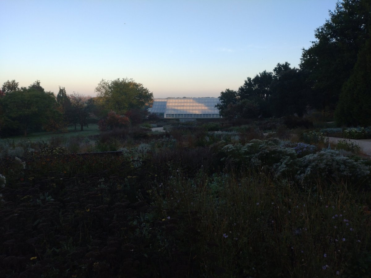AndrewSalisbur2's tweet image. Are you an Ecologist interested in the biodiversity of gardens? @The_RHS @RHSWisley we're seeking an Ecologist (maternity cover) to help us show how valuable gardens? (Cool job, cool location!) rhsocli.webitrent.com/rhsocli_webrec…