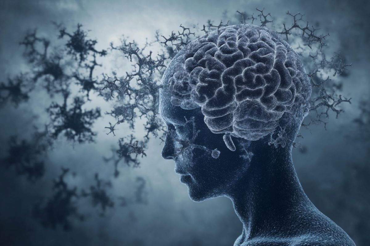 Gut Bacteria Linked to Alzheimer’s Progression

A recent study has uncovered a link between the gut bacteria Klebsiella pneumoniae and the progression of Alzheimer’s disease. 

Researchers found that this bacteria, commonly involved in hospital-acquired infections, can migrate
