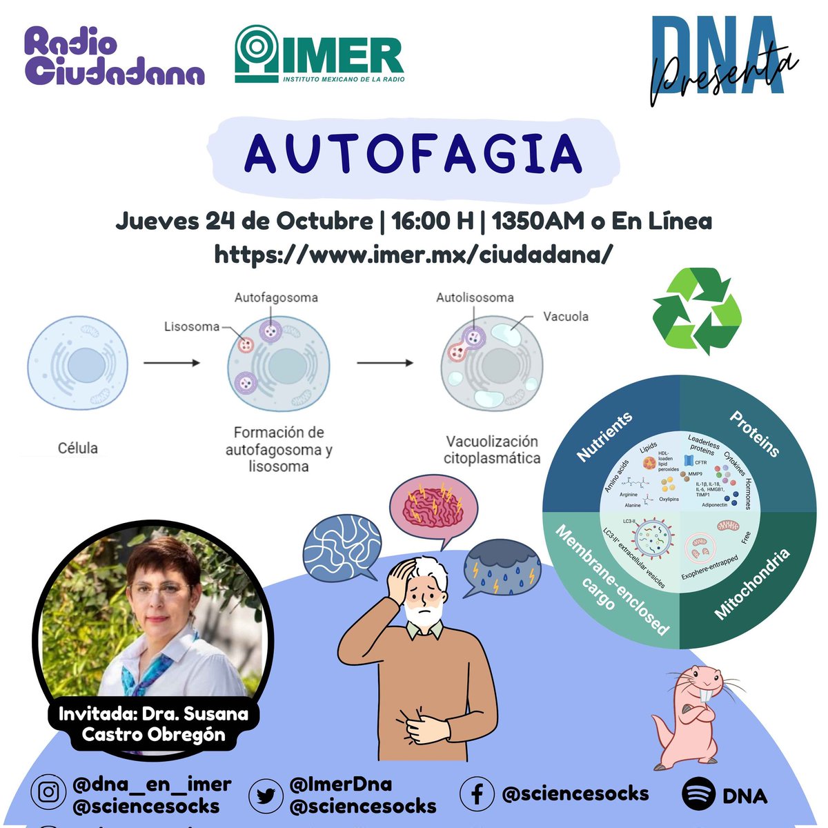 No sé pierdan hoy nuestro programa <a href="/ImerDna/">dna_imer</a> hablaremos con la Dra Susana Castro del <a href="/IFC_UNAM/">Fisiología Celular UNAM</a> acerca de la autofagia, el envejecimiento y la ratatopo desnuda ya saben a las 16h por <a href="/ciudadanaIMER/">Radio Ciudadana</a> del <a href="/imerhoy/">IMER</a> acá los links y los detalles #SinCienciaNoHayFuturo #ElPoderdeLaCiencia
