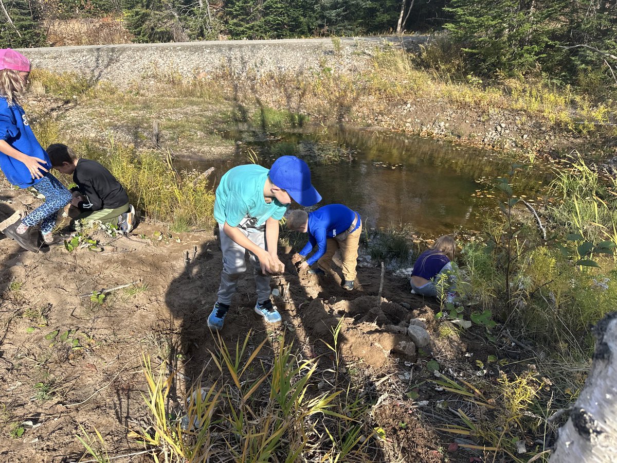 Our grade 2-3 Scientists are building castles today to see if they will still be standing after tomorrow’s rain. 

<a href="/NLSchoolsCA/">NLSchools</a>