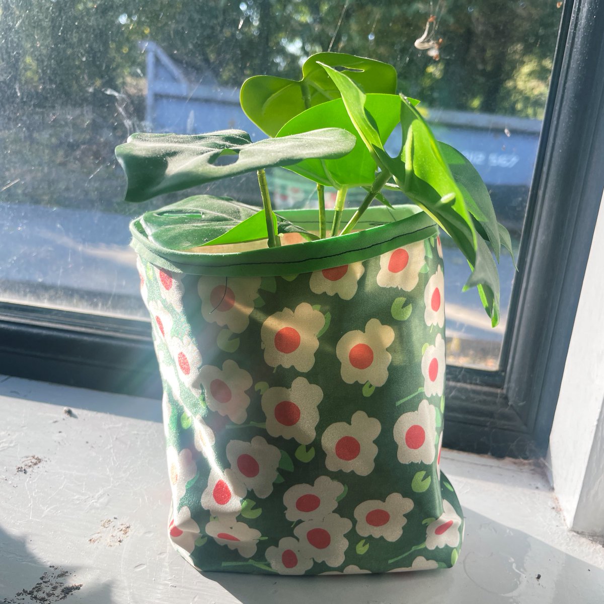 Aimée Leggoe tweet media