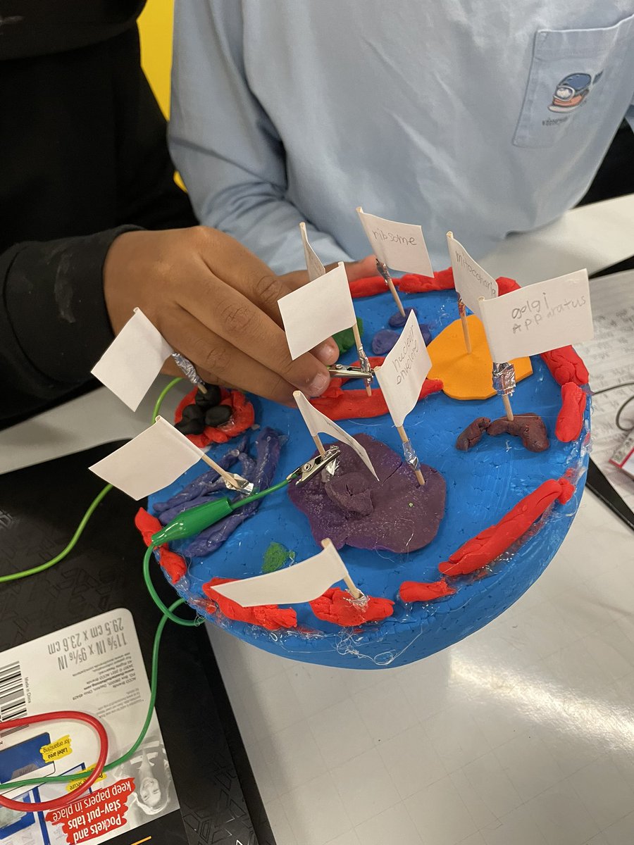 Kurt Hurelbrink (@khurelbrink) on Twitter photo These <a href="/hunter_pta/">Hunter GT AIG Elementary School PTA</a> 4th&5th graders rocked their 3Dplant and animal cells! <a href="/wcpssdll/">wcpssDLL</a> <a href="/CentralWCPSS/">Central Area</a> <a href="/wcpssmagnets/">WCPSS Office of Magnet Schools (Choice Schools)</a> <a href="/dlcpage/">Kaitlin Page</a> <a href="/makeymakey/">Makey Makey</a> <a href="/scratch/">Scratch Team</a> <a href="/aig_hunter/">Kristin Hord</a> <a href="/bdillon_hunter/">Brooke Dillon</a> <a href="/mrshord_hunter/">Kristin Hord</a> These <a href="/hunter_pta/">Hunter GT AIG Elementary School PTA</a> 4th&5th graders rocked their 3Dplant and animal cells! <a href="/wcpssdll/">wcpssDLL</a> <a href="/CentralWCPSS/">Central Area</a> <a href="/wcpssmagnets/">WCPSS Office of Magnet Schools (Choice Schools)</a> <a href="/dlcpage/">Kaitlin Page</a> <a href="/makeymakey/">Makey Makey</a> <a href="/scratch/">Scratch Team</a> <a href="/aig_hunter/">Kristin Hord</a> <a href="/bdillon_hunter/">Brooke Dillon</a> <a href="/mrshord_hunter/">Kristin Hord</a>