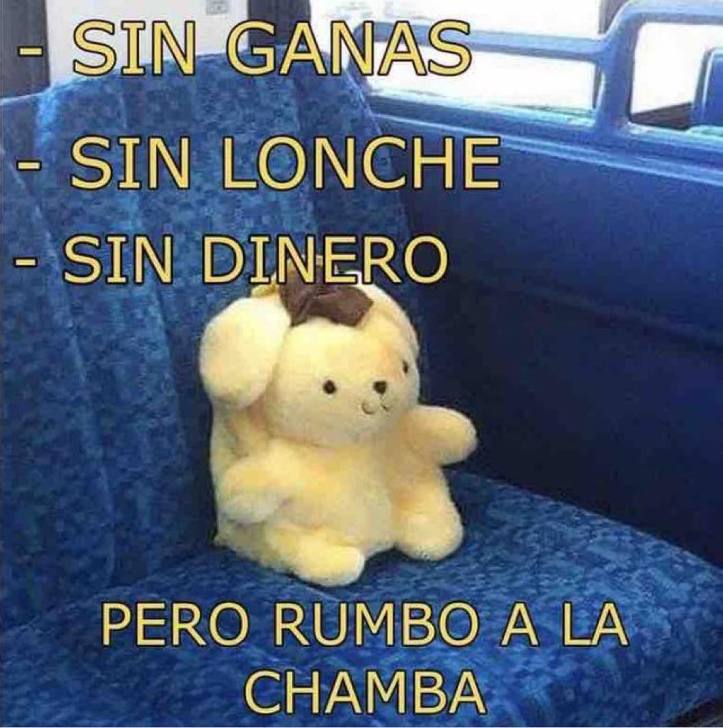 Guarromantico_'s tweet photo. Pero rumbo a la chamba. https://t.co/A6sooc1btj