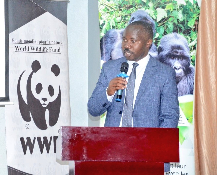 RubavuDistrict's tweet photo. Today, Mayor @promulindwa officially launched the 'Towards Zero Poaching in the Greater Virunga Landscape' project. A joint effort between Rwanda, #Uganda, and the #DRC to protect wildlife and preserve biodiversity for future generations.
#ZeroPoaching https://t.co/JSMQgBIJm6