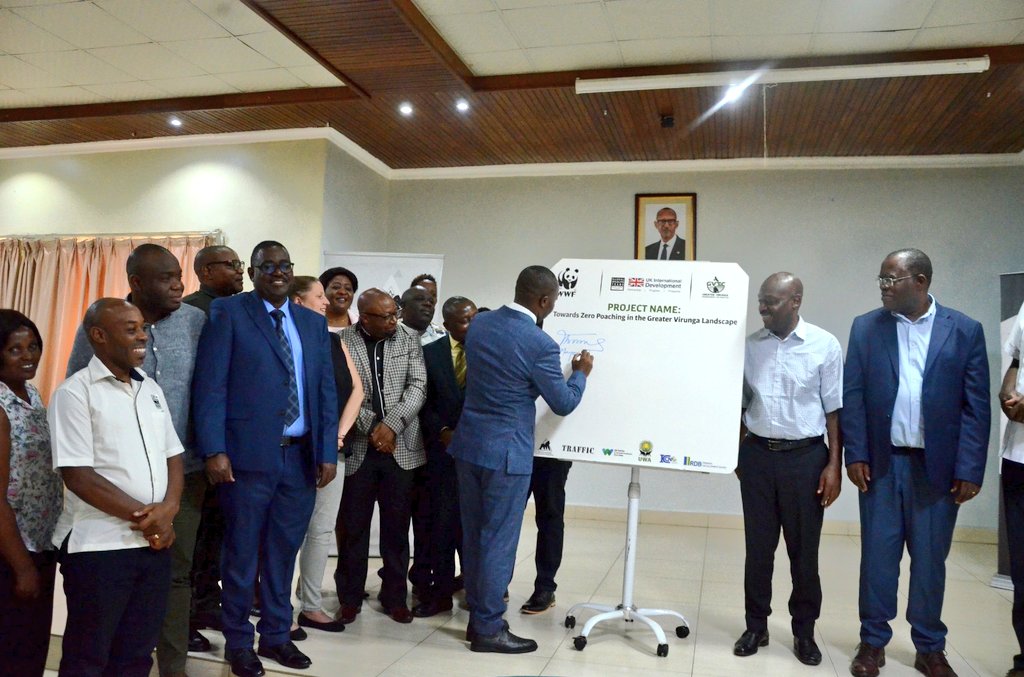 RubavuDistrict's tweet photo. Today, Mayor @promulindwa officially launched the 'Towards Zero Poaching in the Greater Virunga Landscape' project. A joint effort between Rwanda, #Uganda, and the #DRC to protect wildlife and preserve biodiversity for future generations.
#ZeroPoaching https://t.co/JSMQgBIJm6