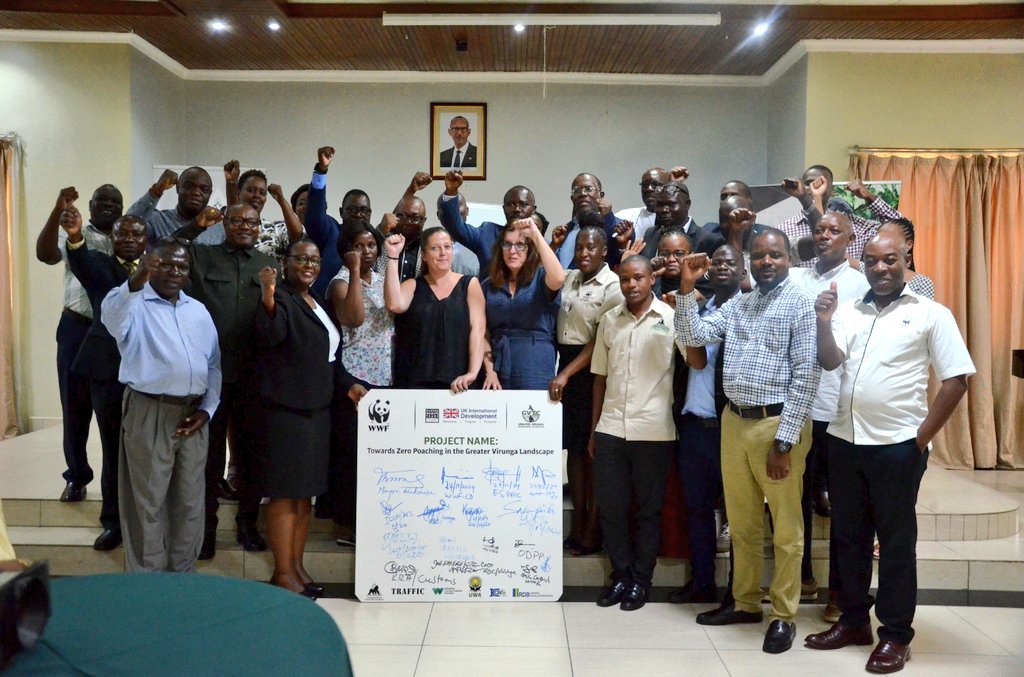 RubavuDistrict's tweet photo. Today, Mayor @promulindwa officially launched the 'Towards Zero Poaching in the Greater Virunga Landscape' project. A joint effort between Rwanda, #Uganda, and the #DRC to protect wildlife and preserve biodiversity for future generations.
#ZeroPoaching https://t.co/JSMQgBIJm6
